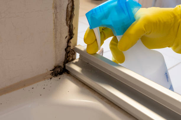 Best HVAC Mold Remediation in Saint John Fisher College, NY